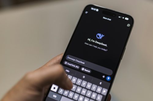 DeepSeek